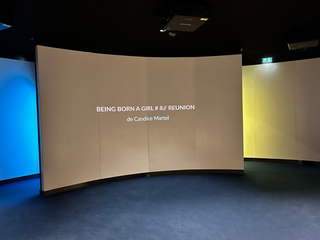 Installation vidéo Being Born a Girl à Europa Experience – Parlement européen
